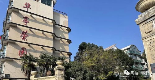 網(wǎng)傳上海阿姨坐擁90套房產(chǎn)和106個(gè)車位 有人去調(diào)查了