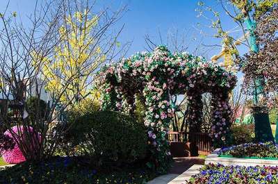 《中國(guó)新歌聲》青浦賽區(qū)4月8日即將震撼開(kāi)唱!-上海房訊-買房大師